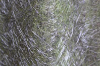 St Catherine fibreglass roof work